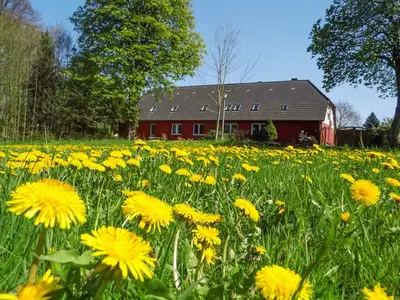 Ferienwohnung für 6 Personen (120 m²) in Ahrenshagen 1/10