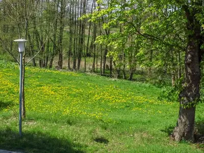 Ferienwohnung für 6 Personen (120 m²) in Ahrenshagen 7/10