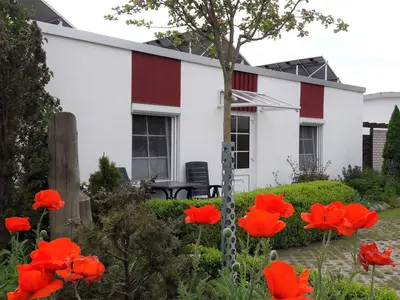 Ferienwohnung für 3 Personen (34 m²) in Ahrenshoop 10/10
