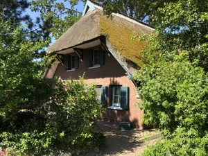 Ferienwohnung für 4 Personen (55 m²) in Ahrenshoop