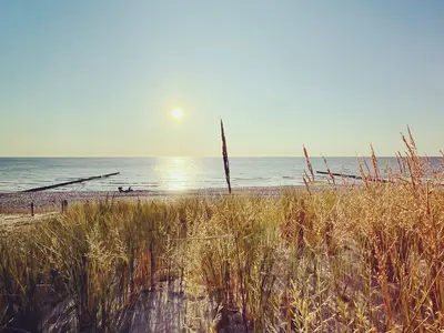 Ferienwohnung für 2 Personen (40 m²) in Ahrenshoop 1/10