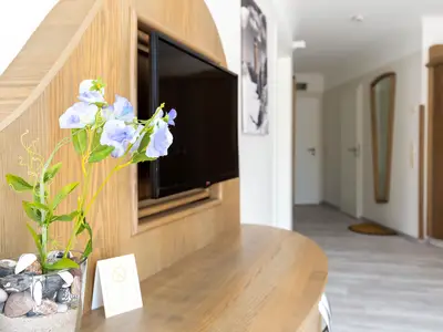 TV / Multimedia