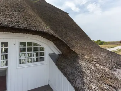 Ferienwohnung für 2 Personen (30 m²) in Ahrenshoop 10/10