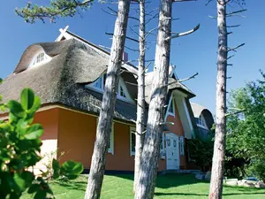 Ferienwohnung für 4 Personen (54 m²) in Ahrenshoop