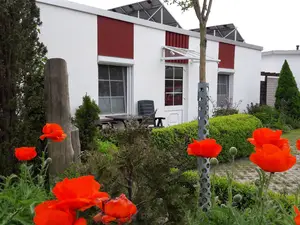 Ferienwohnung für 3 Personen (32 m²) in Ahrenshoop