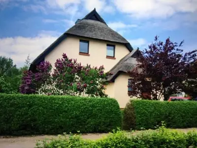 Ferienwohnung für 3 Personen (40 m²) in Ahrenshoop 1/9