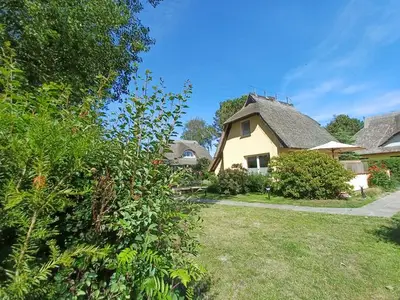 Ferienwohnung für 4 Personen (60 m²) in Ahrenshoop 2/10