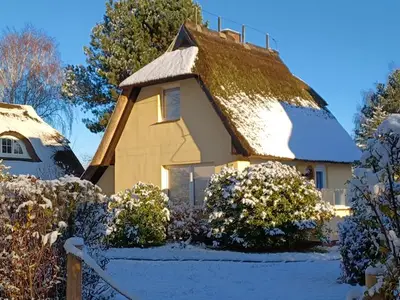Ferienwohnung für 4 Personen (60 m²) in Ahrenshoop 3/10