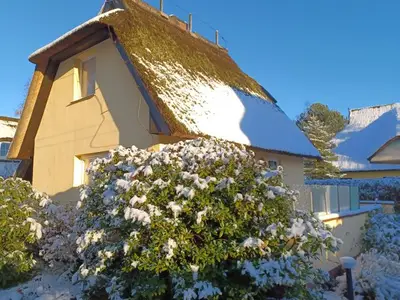 Ferienwohnung für 4 Personen (60 m²) in Ahrenshoop 4/10