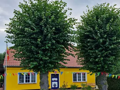 Ferienwohnung für 3 Personen (40 m²) in Ahrenshoop 1/8