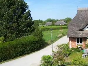 Ferienwohnung für 3 Personen (70 m²) in Ahrenshoop