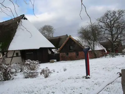 Ferienwohnung für 2 Personen (32 m²) in Ahrenshoop 1/10
