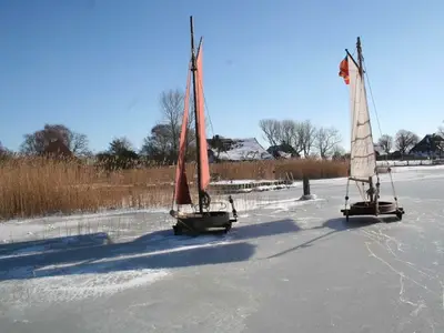 Ferienwohnung für 2 Personen (32 m²) in Ahrenshoop 3/10