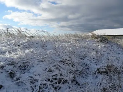 Ferienwohnung für 2 Personen (32 m²) in Ahrenshoop 5/10