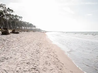 Ferienwohnung für 2 Personen (60 m²) in Ahrenshoop 9/10