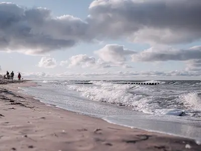 Ferienwohnung für 4 Personen (75 m²) in Ahrenshoop 7/10