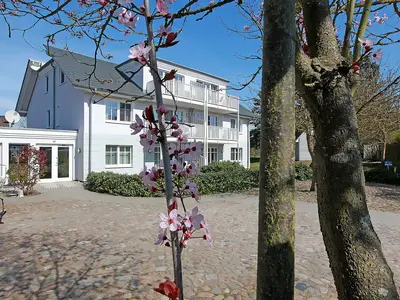 Ferienwohnung für 2 Personen (40 m²) in Ahrenshoop 9/10