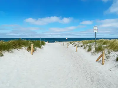 Ferienwohnung für 4 Personen (75 m²) in Ahrenshoop 1/10
