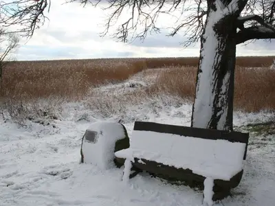 Ferienwohnung für 4 Personen (90 m²) in Ahrenshoop 6/10