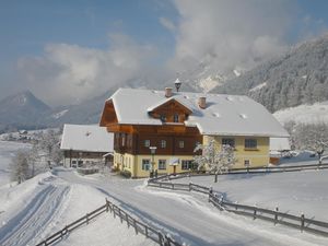 22358763-Ferienwohnung-5-Aich (Steiermark)-300x225-5