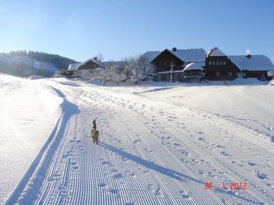 Winterlandschaft