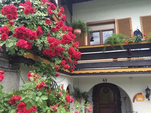 22359263-Ferienwohnung-5-Aich (Steiermark)-300x225-0