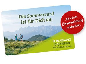 22652379-Ferienwohnung-8-Aich (Steiermark)-300x225-2