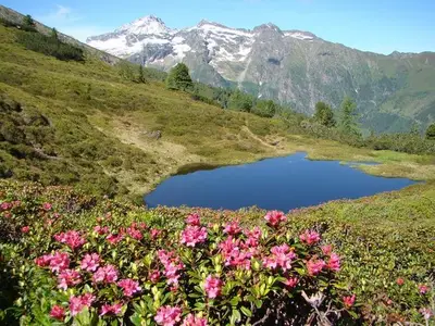 Ferienwohnung für 3 Personen (16 m²) in Aich 8/10
