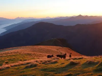 Ferienwohnung für 3 Personen (16 m²) in Aich 10/10