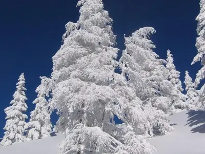 Ferienwohnung für 2 Personen (55 m²) in Aich 7/10