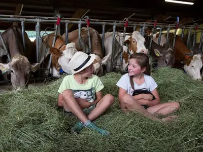 Ferienwohnung für 5 Personen (62 m²) in Aich 10/10