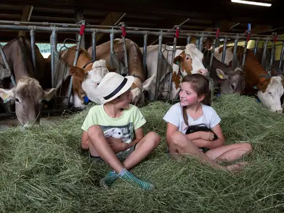 Kainreiterhof  - Urlaub am Bauernhof