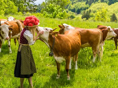 Ferienwohnung für 4 Personen (53 m²) in Aitern 3/10