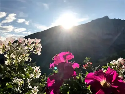 Garten vor der Wohnung