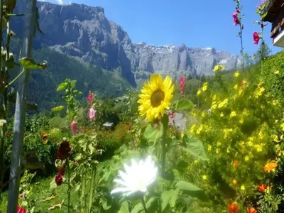 Garten Blumen vor der Wohnung