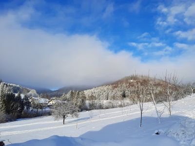 Winterstimmung hinter dem Haus