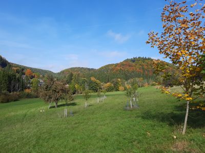 Herbststimmung hinter dem Haus