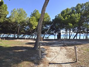 23968538-Ferienwohnung-5-Alcúdia-300x225-2