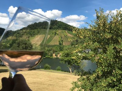 Haus Moselwiese Mosel Ausblick