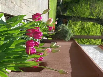 Frühling