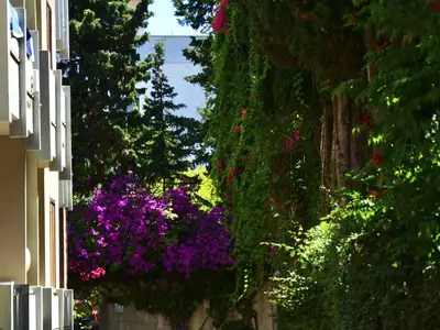 Ferienwohnung für 4 Personen (29 m²) in Alghero 5/10