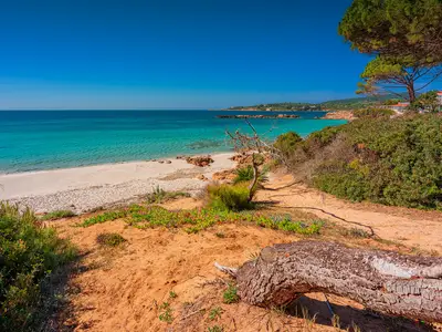 Ferienwohnung für 4 Personen (43 m²) in Alghero 10/10