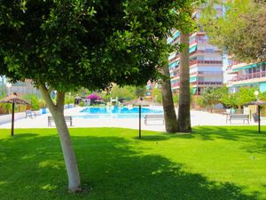 23977102-Ferienwohnung-4-Alicante-300x225-4