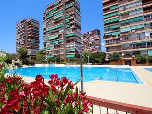 23977102-Ferienwohnung-4-Alicante-300x225-0