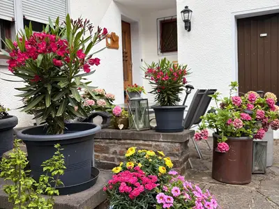 Eingangsbereich