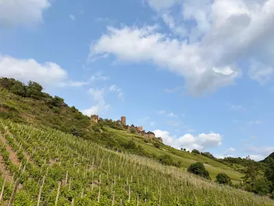 Blick auf die Burg Thurant