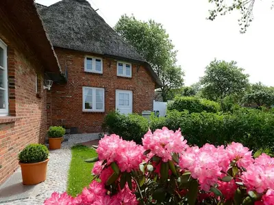 Ferienwohnung für 3 Personen (60 m²) in Alkersum 3/10