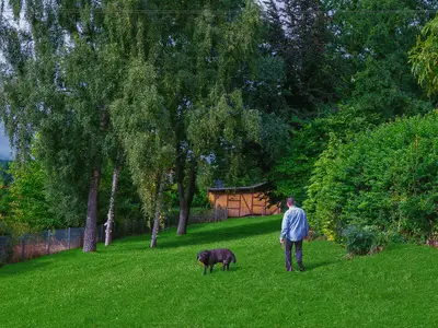 Ferienwohnung für 6 Personen (155 m²) in Allenbach 6/10