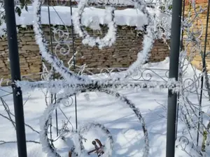 Ferienwohnung für 5 Personen (63 m²) in Allstedt