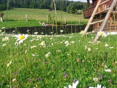 Schneiderhäusl Wiesenblumen